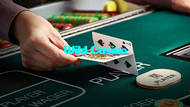 available types of Wild Casino bet including pre-match live express and system bets