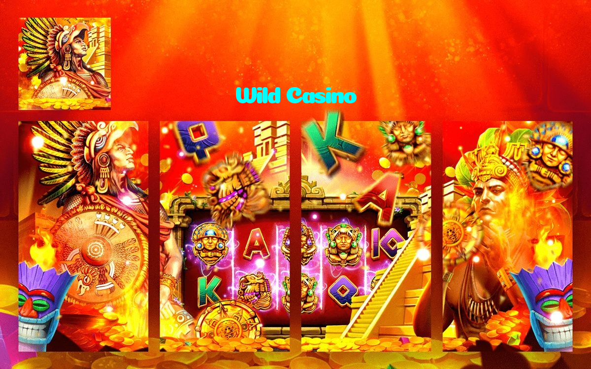 available types of Wild Casino bet including pre-match live express and system bets