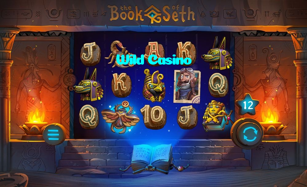 Wild Casino casino presented on mobile device in Pakistan with slots and live games