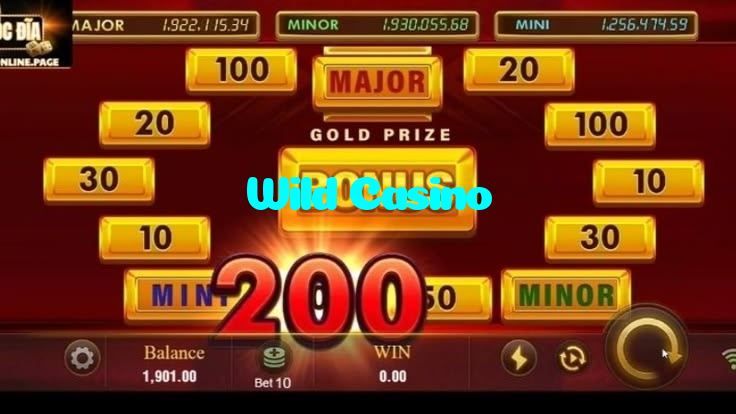 Wild Casino